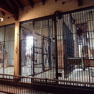 Red Rocks - Reticulated Giraffe Stall