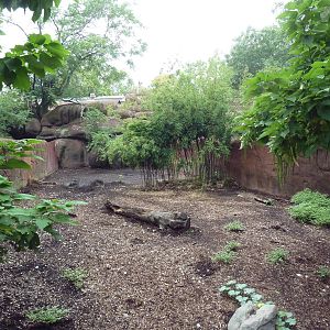 Red Rocks - Chacoan Peccary Exhibit