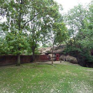 Red Rocks - Nyala/Red-Flanked Duiker/East African Crowned Crane Exhibit