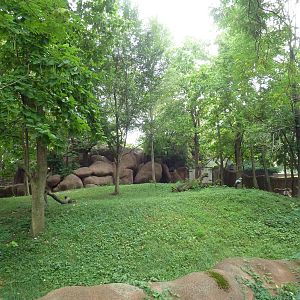 Red Rocks - Bongo + Blue Crane Exhibit