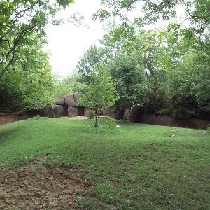 Red Rocks - Bongo + Blue Crane Exhibit