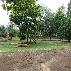 Red Rocks - Lesser Kudu + Saddle-Billed Stork Exhibit