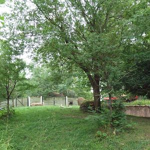 Red Rocks - Addra Gazelle + Wattled Crane Exhibit