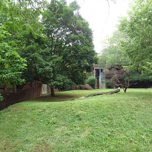 Red Rocks - Speke's Gazelle Exhibit #3