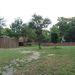Red Rocks - Reticulated Giraffe/Ostrich Exhibit