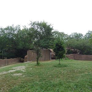 Red Rocks - Reticulated Giraffe/Ostrich Exhibit
