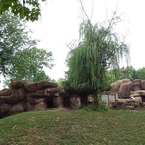 Red Rocks - Sichuan Takin/Chinese Goral Exhibit
