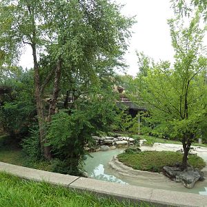Big Cat Country - Jaguar Exhibit