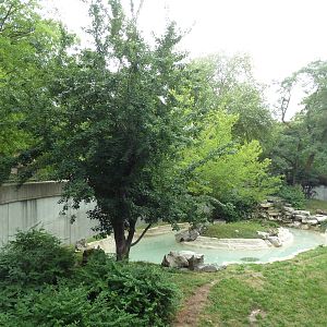 Big Cat Country - Jaguar Exhibit