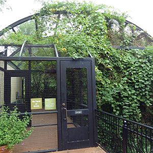 Bird Garden - Small Walk-Through Aviary
