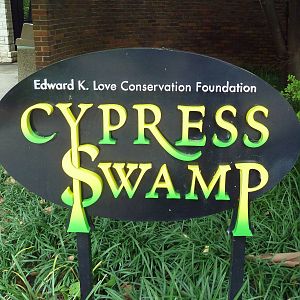 Cypress Swamp (1904 World's Fair Aviary)