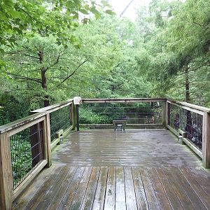Cypress Swamp (1904 World's Fair Aviary)