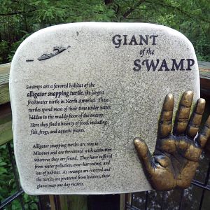 Cypress Swamp Sign (1904 World's Fair Aviary)