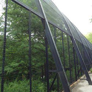 Cypress Swamp Exterior (1904 World's Fair Aviary)