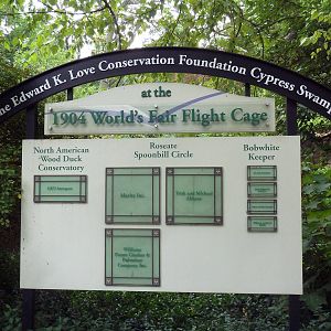 Cypress Swamp Sign (1904 World's Fair Aviary)