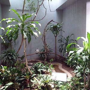 1930 Bird House - Kookaburra Exhibit