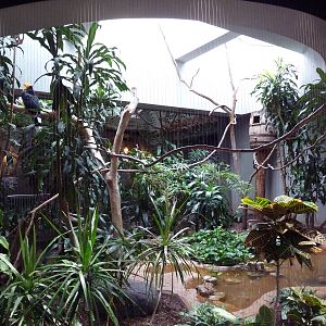 1930 Bird House - Rhinoceros Hornbill Exhibit