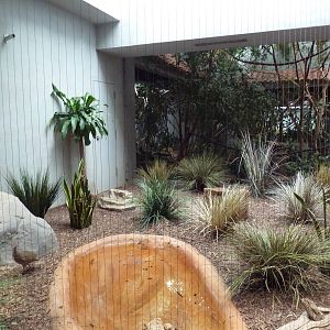 1930 Bird House - Elegant Crested Tinamou Exhibit