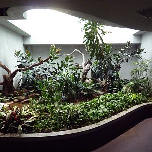 1930 Bird House - Tawny Frogmouth Exhibit