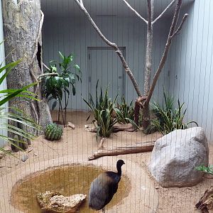 1930 Bird House - Grey-Winged Trumpeter Exhibit