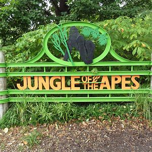 Jungle of the Apes - Entrance Sign