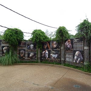 Jungle of the Apes - Signs of the Inhabitants