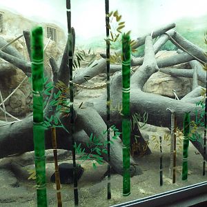 Jungle of the Apes - Gorilla Indoor Exhibit