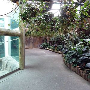 Jungle of the Apes - Visitor Path