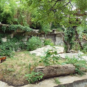 Red Panda Exhibit