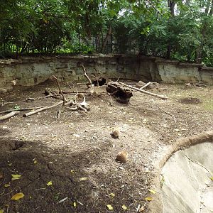 Black-Tailed Prairie Dog Exhibit
