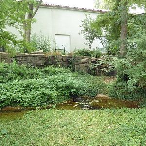 American Alligator Exhibit