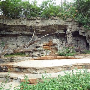 Empty Bear Grotto - Future Grizzly Ridge