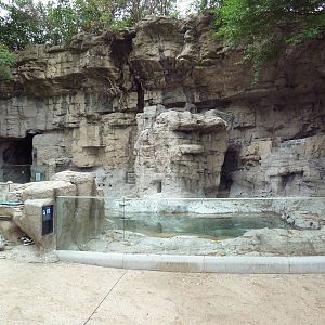 Humboldt Penguin Exhibit (currently empty)