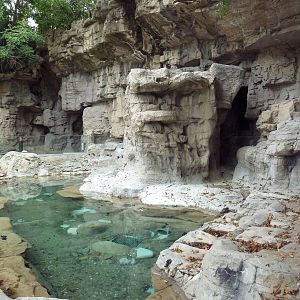 Humboldt Penguin Exhibit (currently empty)