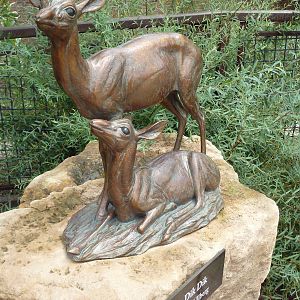 South Entrance - Dik-Dik Statue