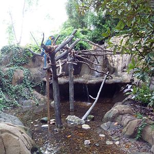 River's Edge - Blue-and Gold Macaw Exhibit