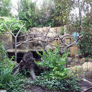 River's Edge - Blue-and Gold Macaw Exhibit