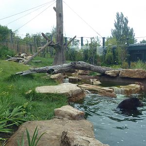 River's Edge - Andean Bear Range (New in 2014)