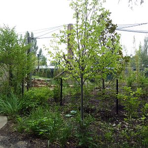 River's Edge - Andean Bear Range (New in 2014)