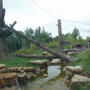 River's Edge - Andean Bear Range (New in 2014)