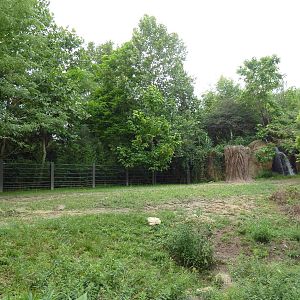 River's Edge - Black Rhino/Sacred Ibis Exhibit
