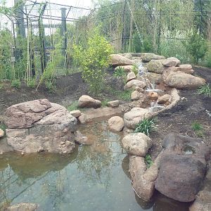 River's Edge - Painted Dog Preserve (New in 2014)