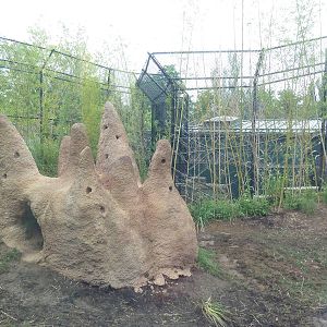 River's Edge - Painted Dog Preserve (New in 2014)