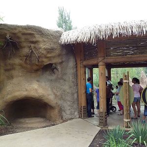 River's Edge - Painted Dog Preserve (New in 2014)