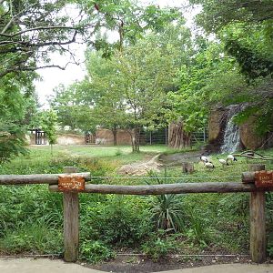 River's Edge - Black Rhino/Sacred Ibis Exhibit