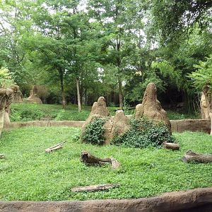 River's Edge - Dwarf Mongoose Exhibit (with cheetah exhibit in the backgrou