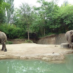 River's Edge - Asian Elephant Exhibit (1 of 4 Enclosures)