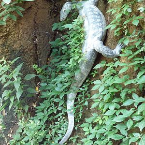 River's Edge - Lizard Statue