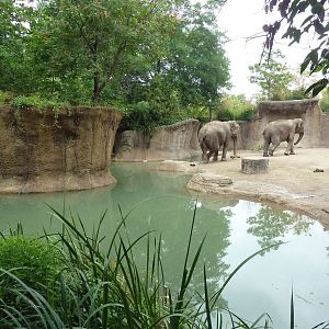 River's Edge - Asian Elephant Exhibit (1 of 4 Enclosures)
