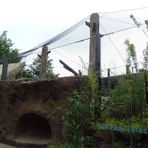 River's Edge - Sun Bear Forest (New in 2014)